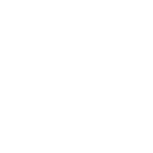 Profil Google Plus Prosys Audit